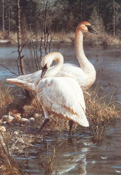動物 Painting - 水鳥の白鳥